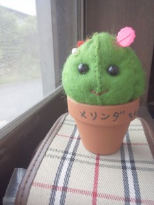 メリンダ2つひっかかっている